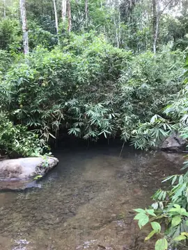 5 Acres Sinnakkara Land for Sale in Agalawatte, Kudaligama