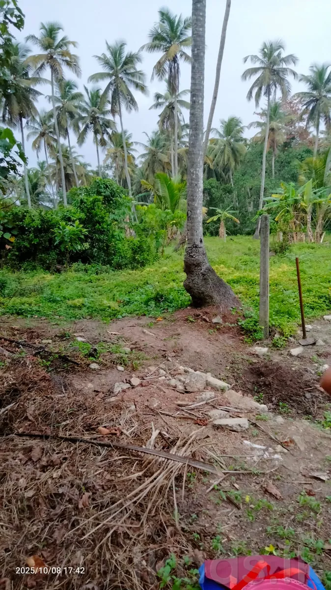 Land for Sale in Katana, Kaluwarippuwa