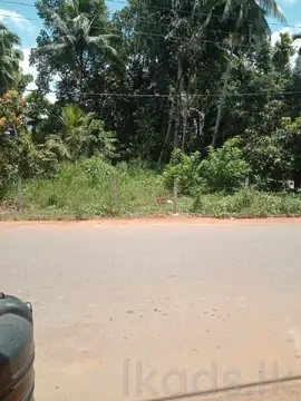 Land for Sale in Alkaduwa, Matale | Facing Main Road