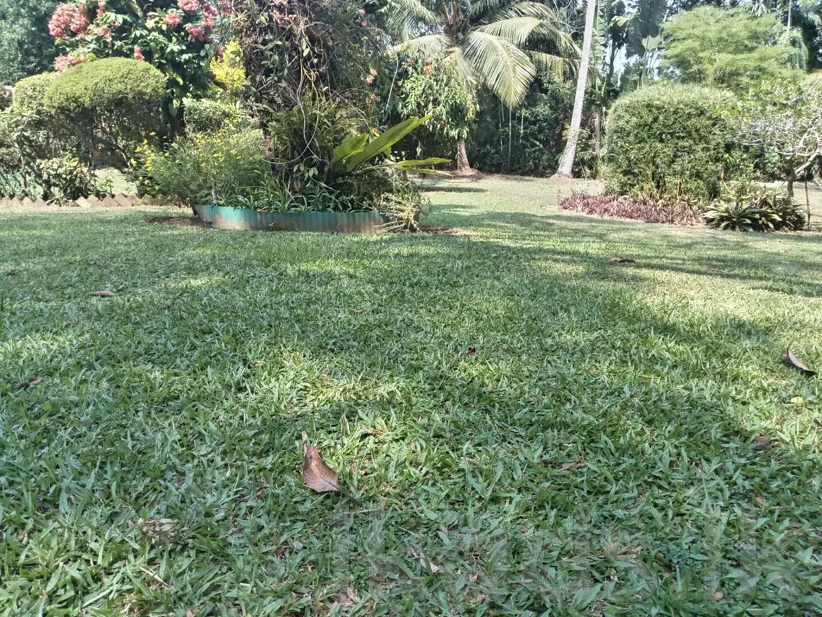 House for Sale in Maitland Crescent, Colombo 07