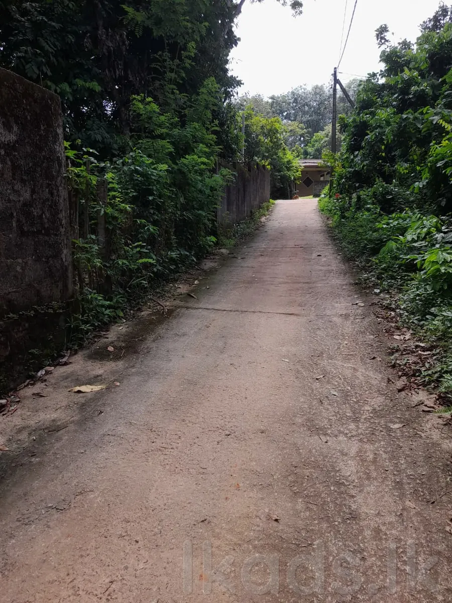 වැලිගම – වැල්ලක්ක බණ්ඩාරනායක මාවතේ ඉඩමක් විකිණීමට