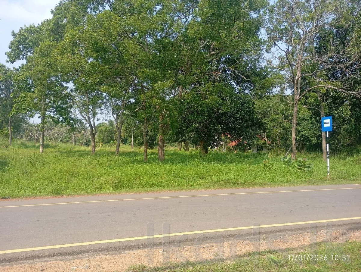 Land for Sale in Danikithawa | Wariyapola