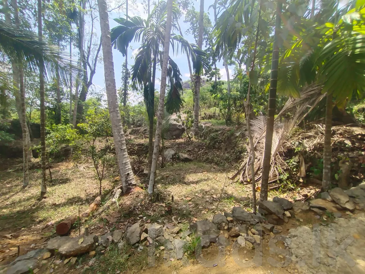 Land for Sale in Ballapana, Siyambalapitiya, Kegalle