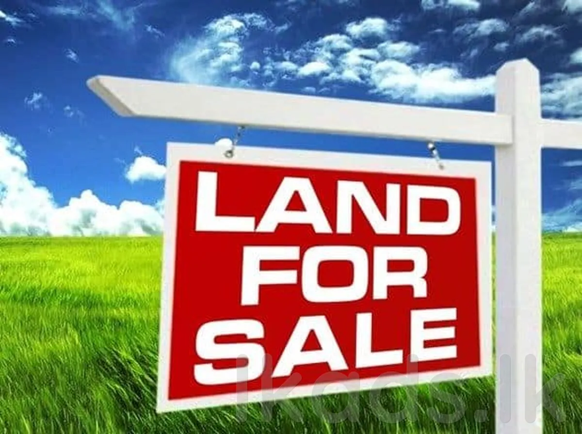 Land for Urgent Sale in Kadana