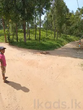 Land for Sale in Welimada | Haputhale Road
