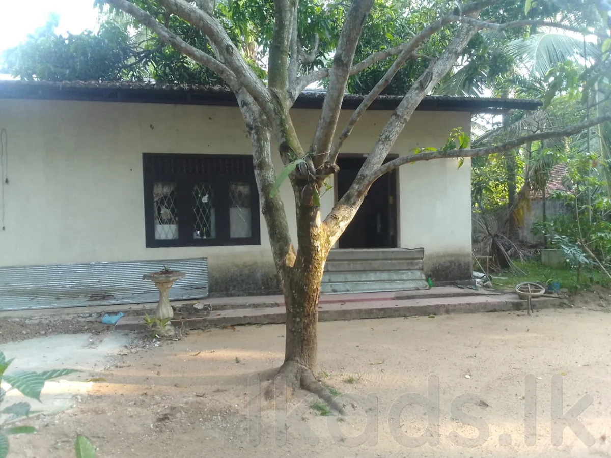 වෙයන්ගොඩ - එළුවාපිටියේ පර්චස් 30ක ඉඩමක් සහ නිවසක් විකිණීමට