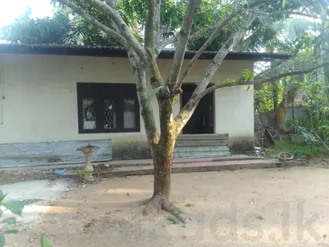 වෙයන්ගොඩ - එළුවාපිටියේ පර්චස් 30ක ඉඩමක් සහ නිවසක් විකිණීමට