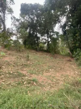 Prime Land for Sale – 51.77 Perches – Asgiriwalpola, Udugampola