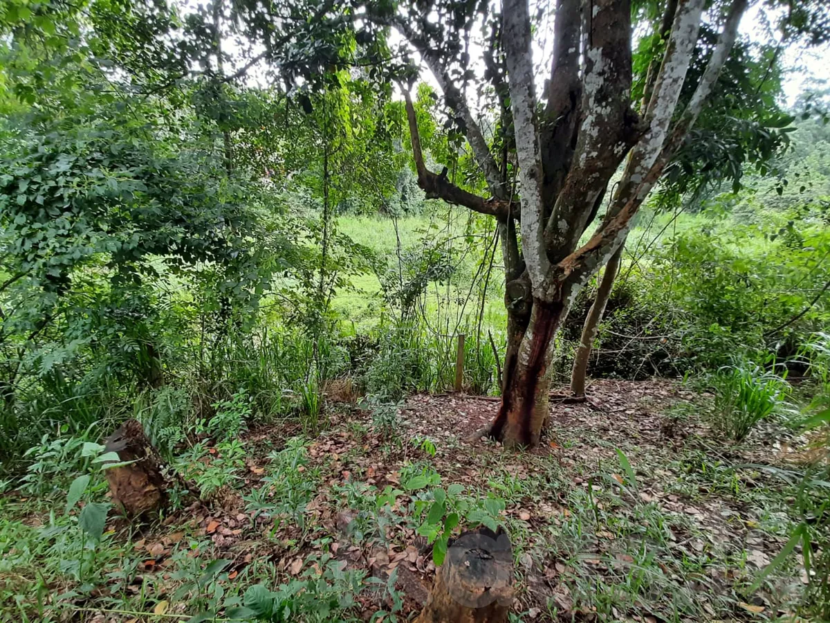 Land for sale in Madawala  මැදවල - මහනුවර