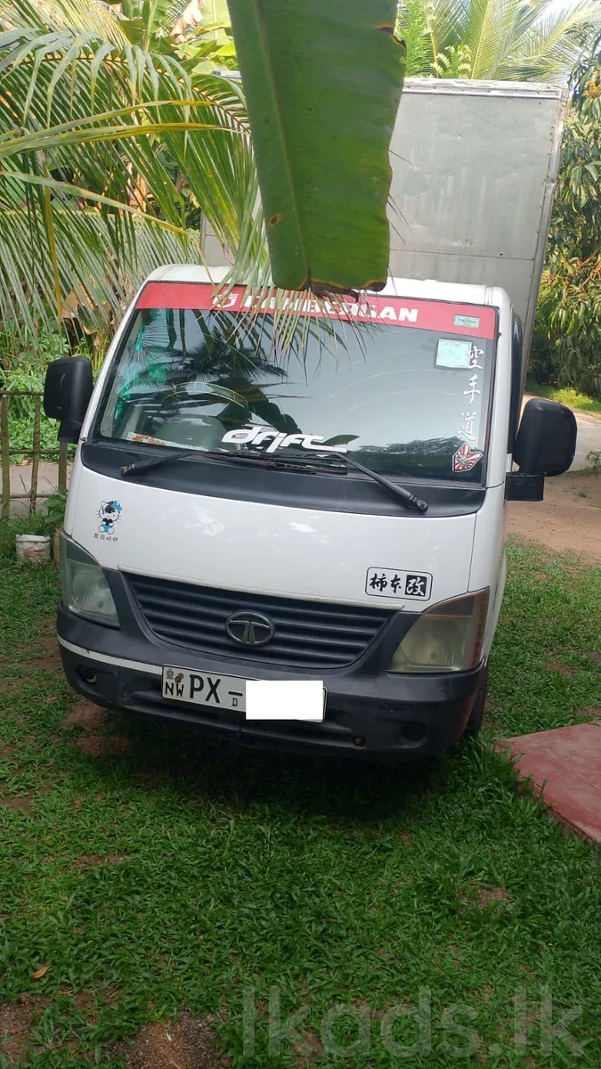 TATA DEMOLOCCA – 2013