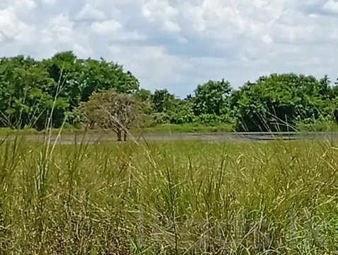 Land for Sale in Anuradhapura | Facing the Lake - 240 Perches