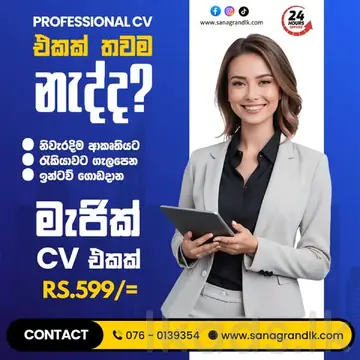Professional CV
