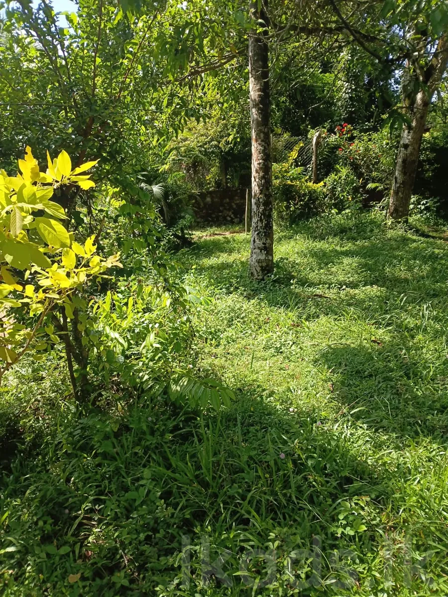 House for Sale  Galgamuwa – Weyangoda photo 3