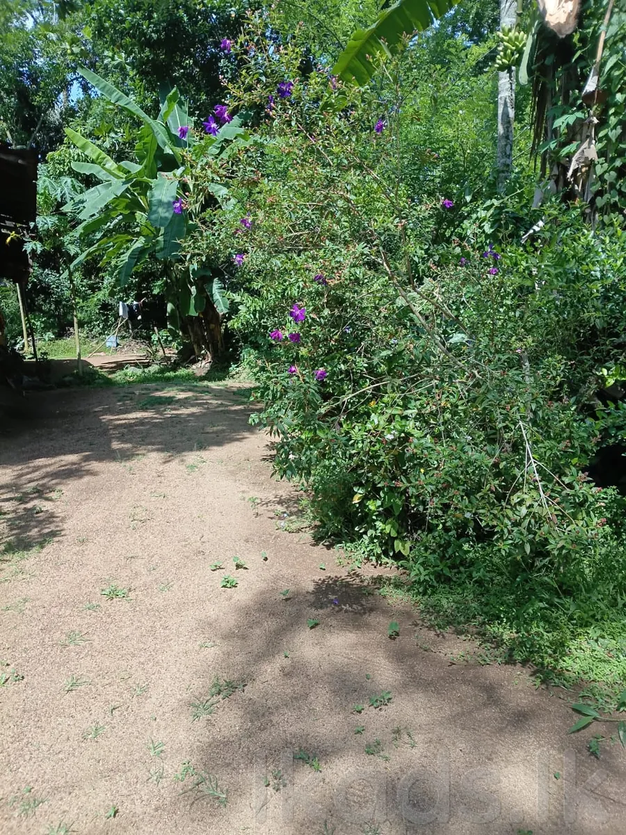 House for Sale  Galgamuwa – Weyangoda photo 4