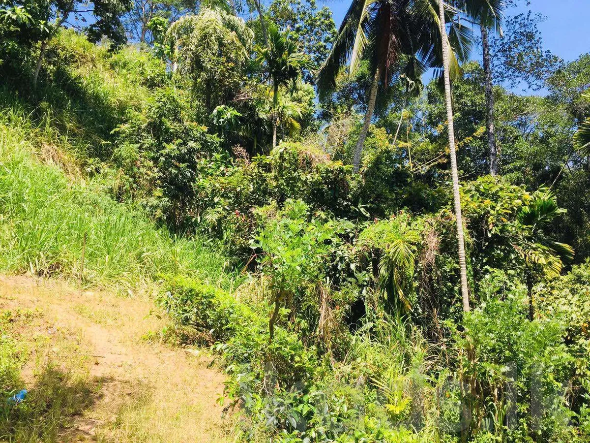 මහනුවර – වත්තේගම – පර්32ක ඉඩමක් විකිණීමට – පර් රු. 50,000 photo 3
