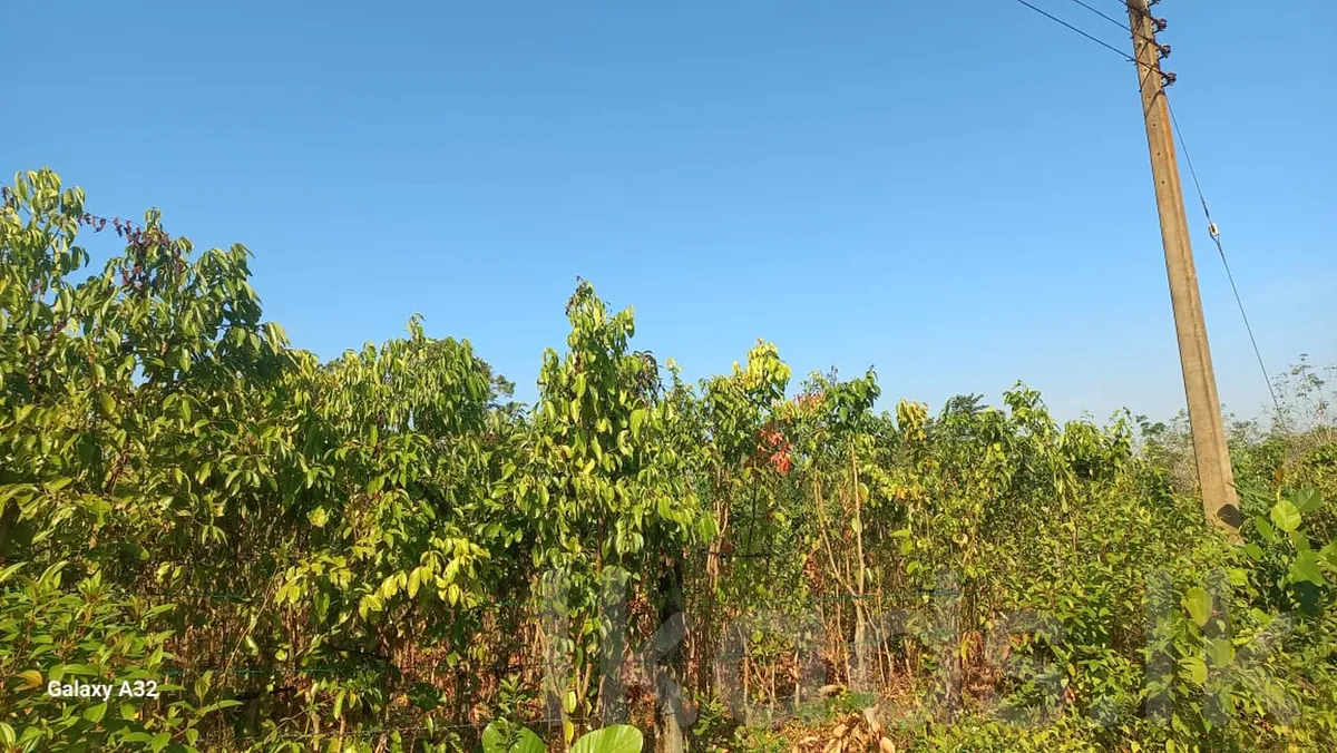 Near Welipanna – Land with New House for Sale photo 8