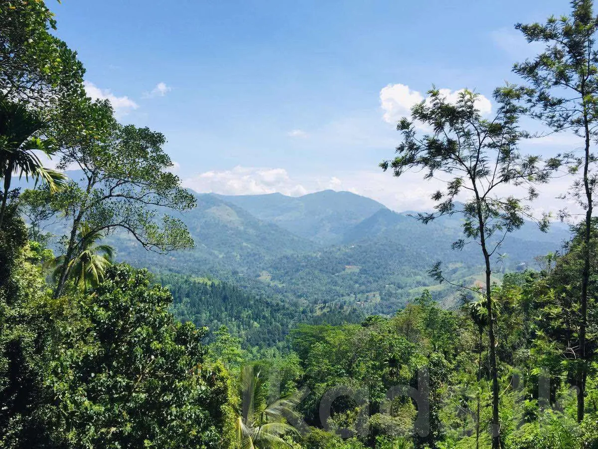 මහනුවර – වත්තේගම – පර්32ක ඉඩමක් විකිණීමට – පර් රු. 50,000 photo 5