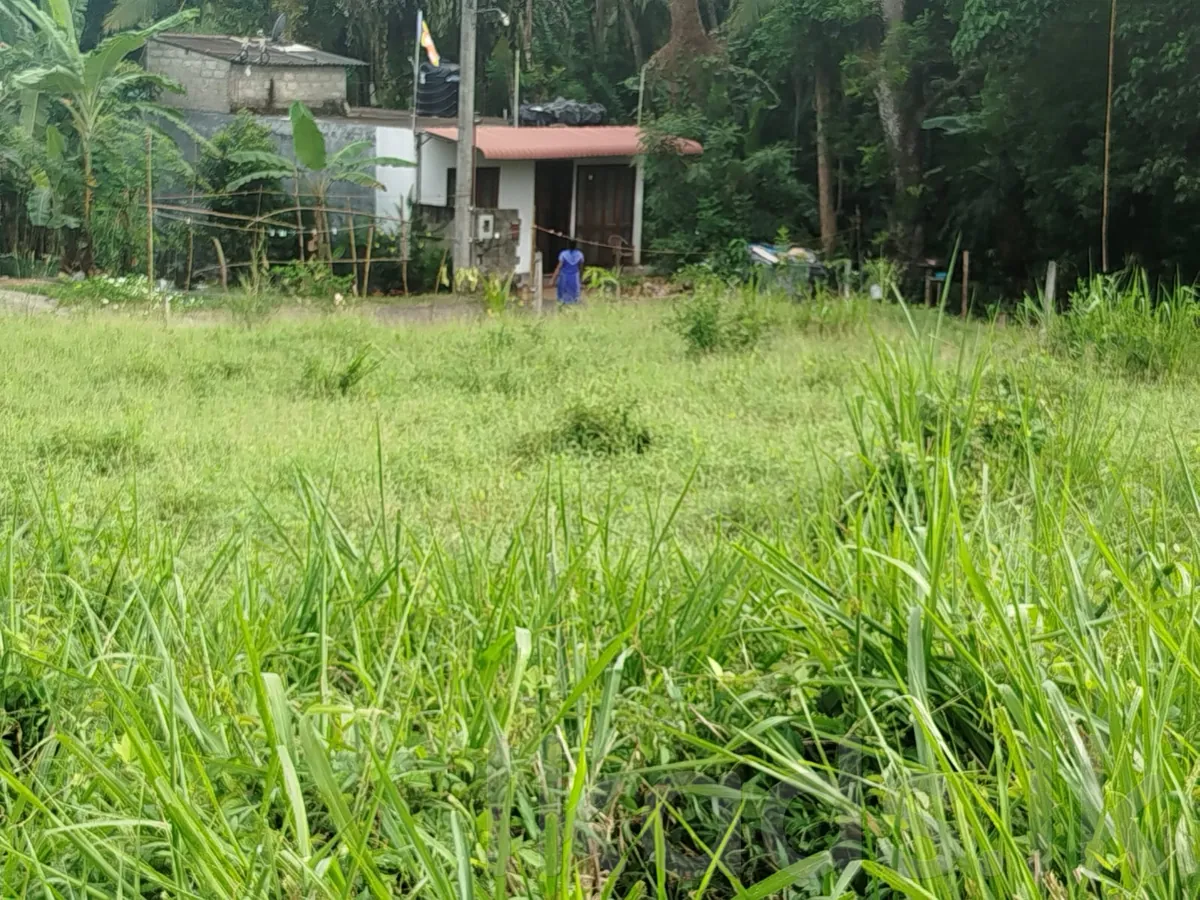 Homagama Pitipana – Land for Sale – 6 Perches photo 2