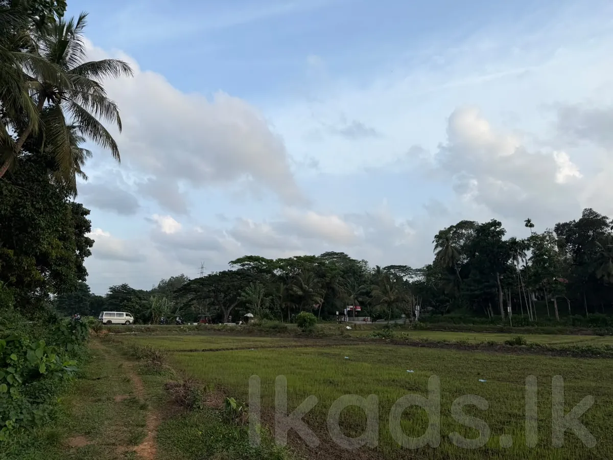 W70 Villa.land – Pinnaduwa – 85 Perches Land for Sale photo 7