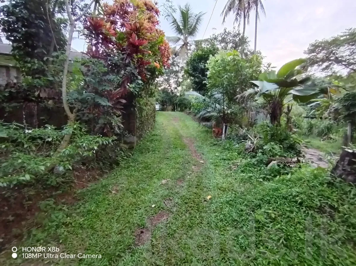 Homagama – Habarakada 698 Bus Route – 45 Perches Land with House for Sale photo 4