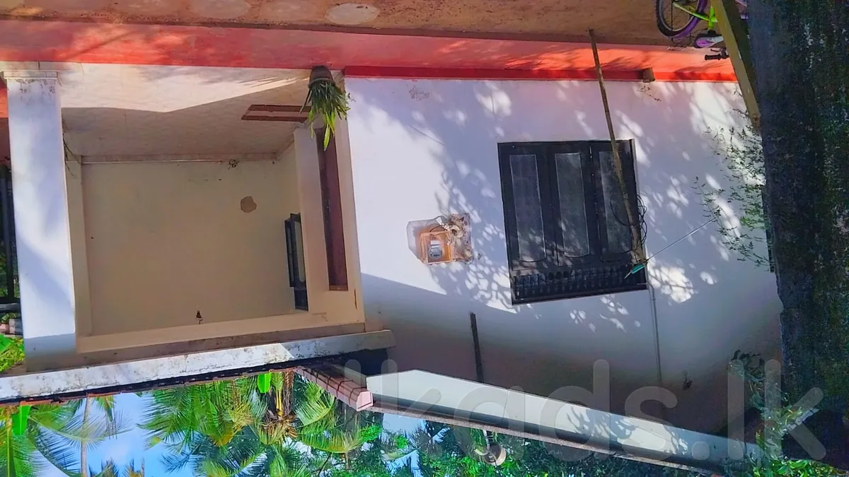 Polgasowita – 25 Perches House for Sale photo 3
