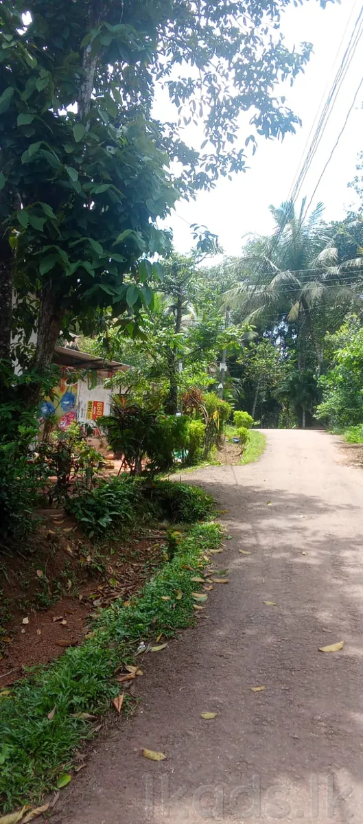 මොරගහහේන – වත්තකඩේ – පර්චස් 25ක ඉඩම හා නිවස – සිල්ලර වෙළඳසැලක් සමග විකිණීමට photo 7