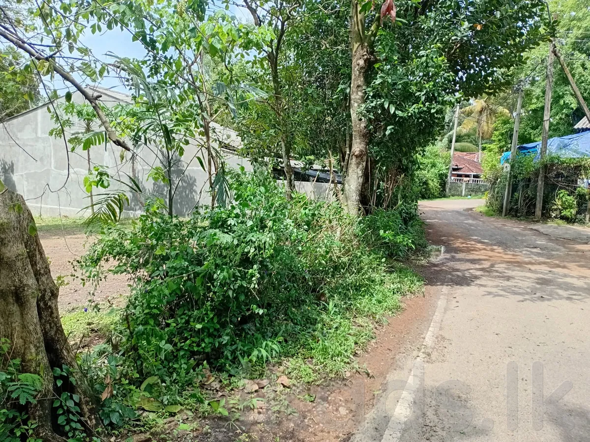 Gampaha – Ihalagama  23.5 Perches Land for Sale photo 9
