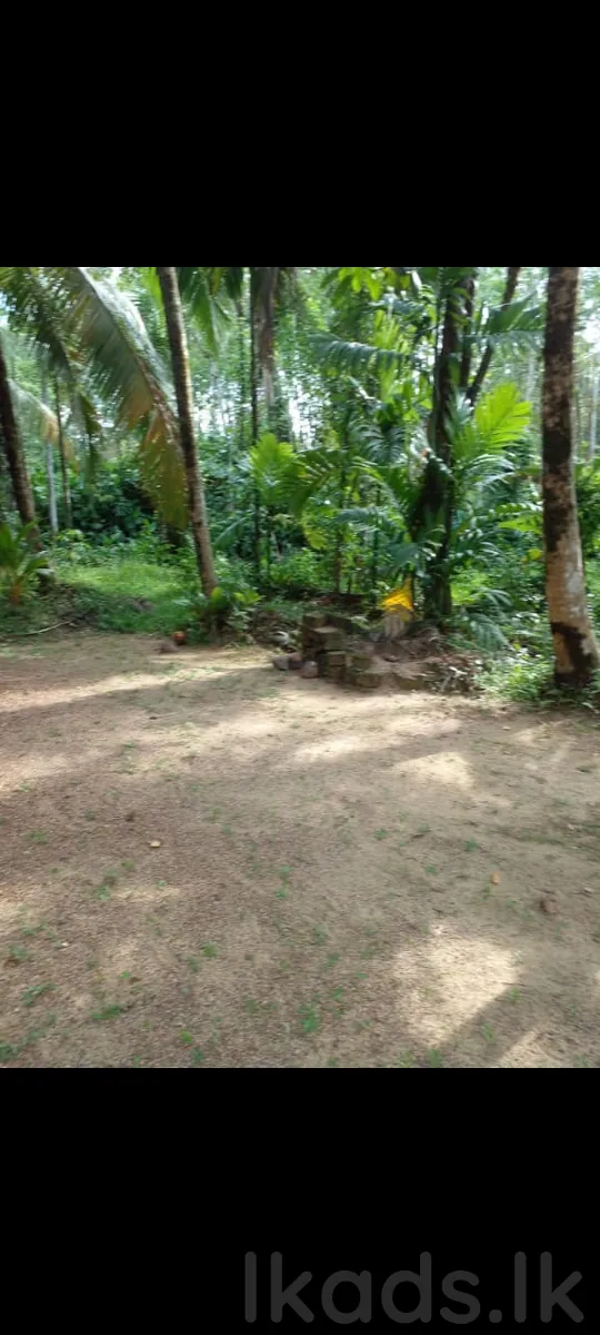 හොරණ - පොරුවදන්ඩ – කුඩා නිවසක් සමග ඉඩමක් විකිණීමට – පර්චස් 40 photo 5