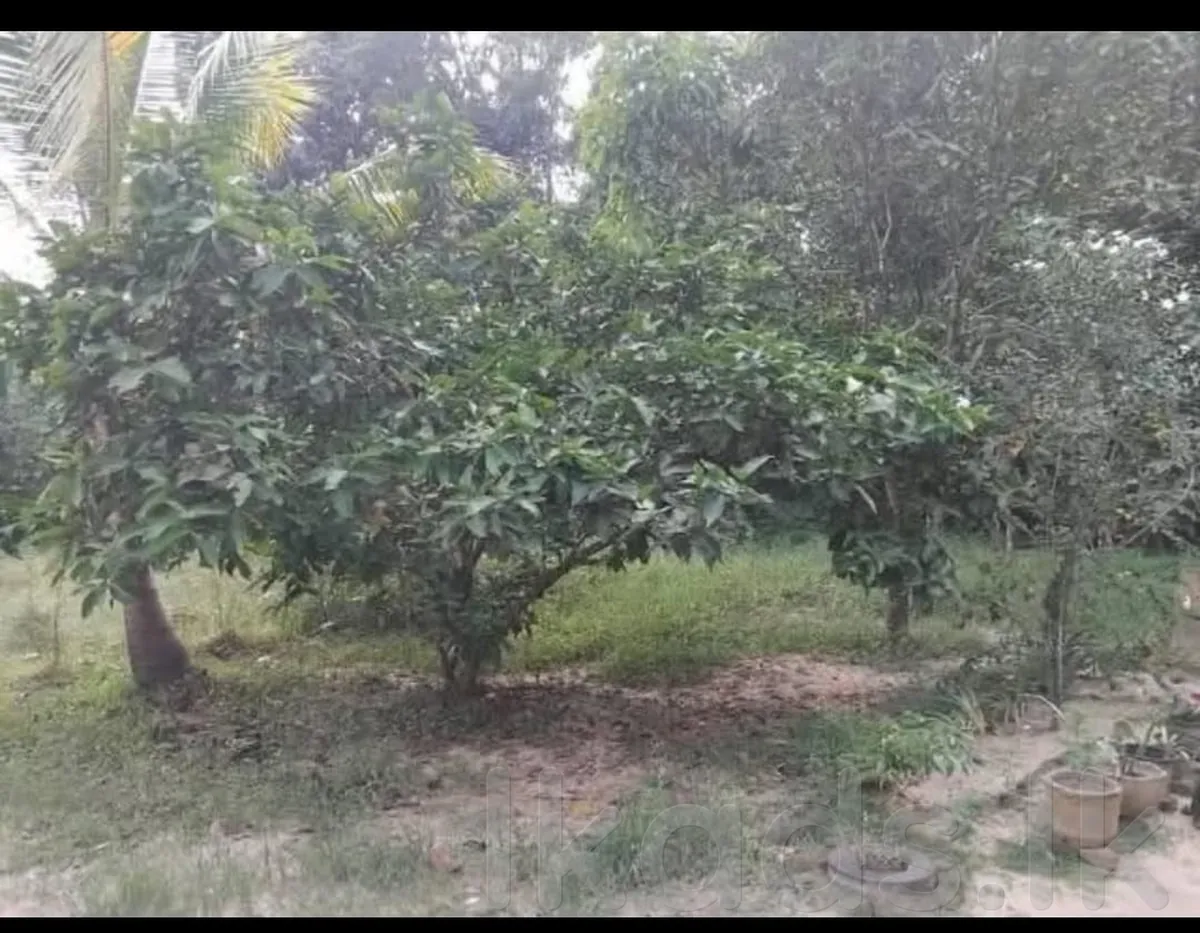 Mirigama – Land with House for Sale 103 Perches photo 4