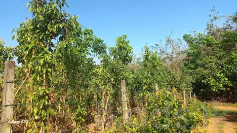 Near Welipanna – Land with New House for Sale