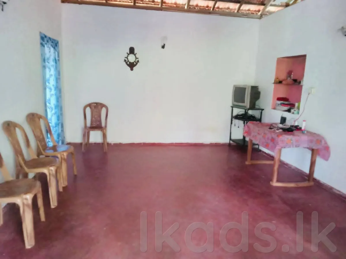 Aluthgama – Alpitiya Road – Kanahentota – 15 Perches House for Sale photo 3