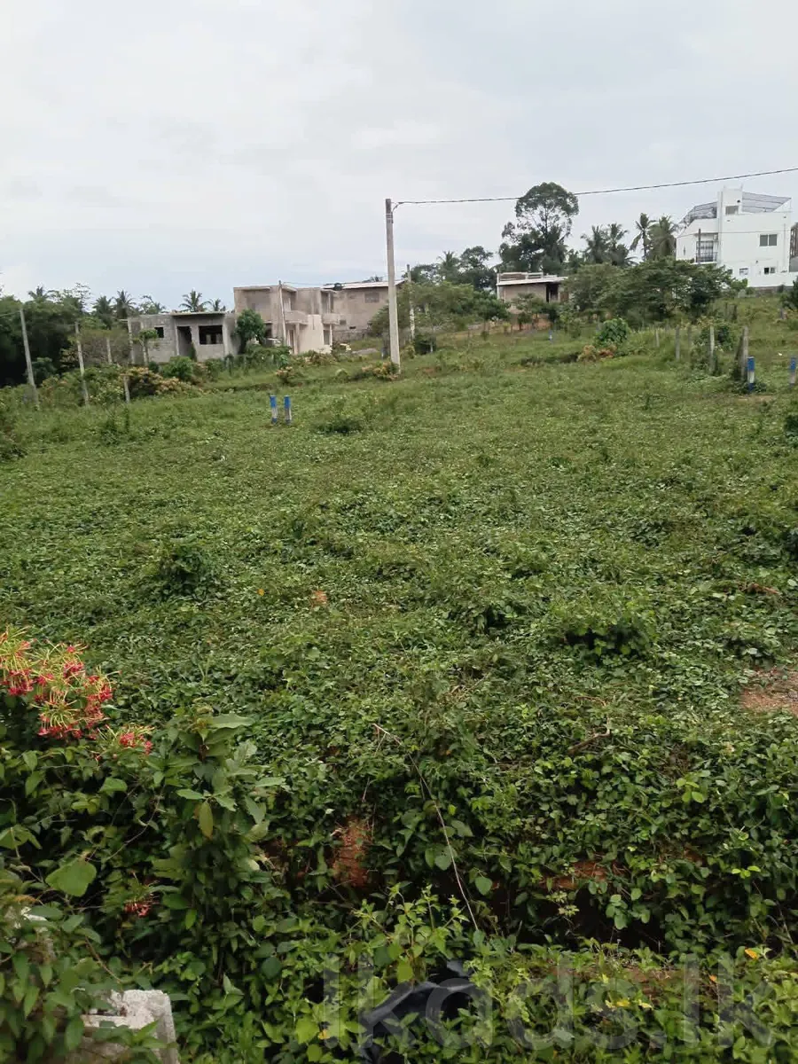 Kadawatha Delgoda Land for Sale – 6 Perches photo 4