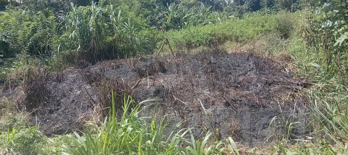 Kandy – Pilimathalawa – Valuable Land for Sale – 10 Perches photo 6