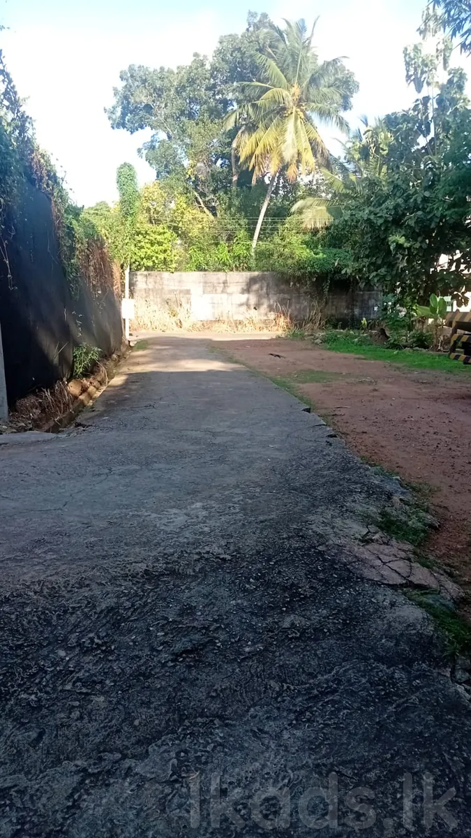 Makola – Sirimangala Road – 30 Perches House for Sale photo 3
