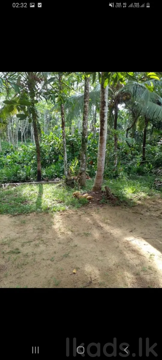 හොරණ - පොරුවදන්ඩ – කුඩා නිවසක් සමග ඉඩමක් විකිණීමට – පර්චස් 40 photo 3