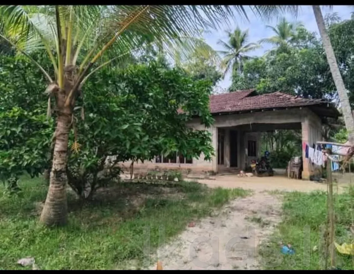 Mirigama – Land with House for Sale 103 Perches photo 3