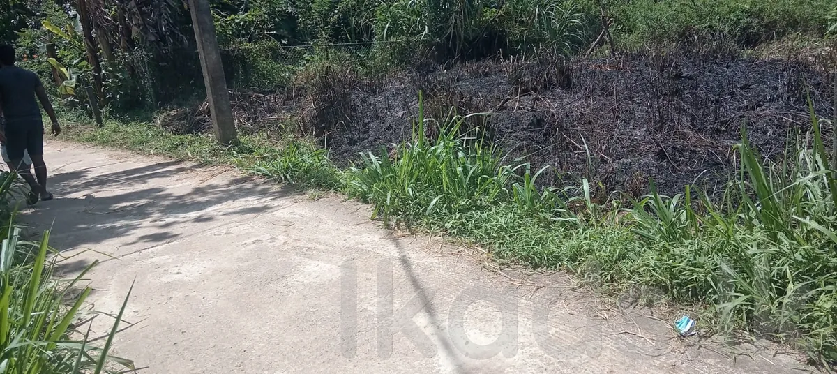Kandy – Pilimathalawa – Valuable Land for Sale – 10 Perches photo 4
