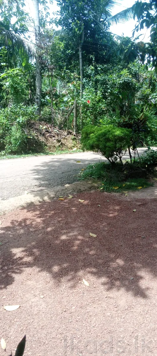 මොරගහහේන – වත්තකඩේ – පර්චස් 25ක ඉඩම හා නිවස – සිල්ලර වෙළඳසැලක් සමග විකිණීමට photo 5
