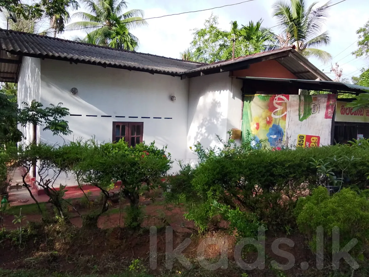 මොරගහහේන – වත්තකඩේ – පර්චස් 25ක ඉඩම හා නිවස – සිල්ලර වෙළඳසැලක් සමග විකිණීමට photo 2
