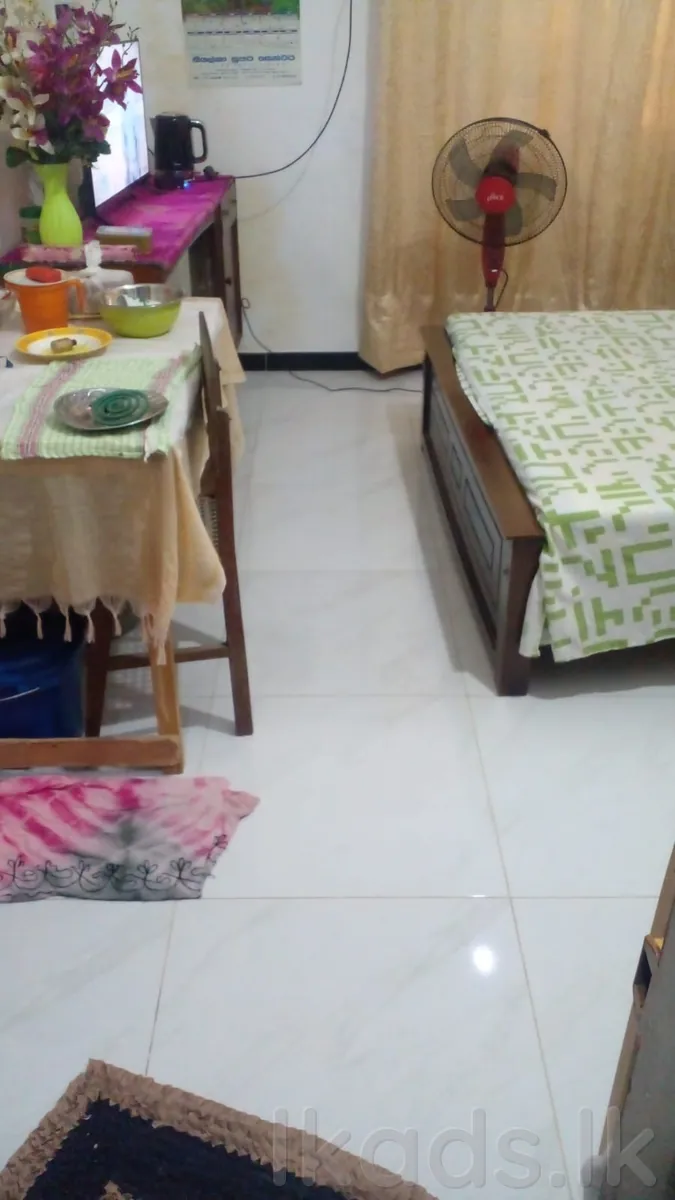 Polgasowita – 25 Perches House for Sale photo 4