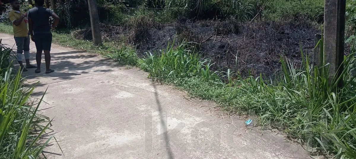 Kandy – Pilimathalawa – Valuable Land for Sale – 10 Perches photo 7