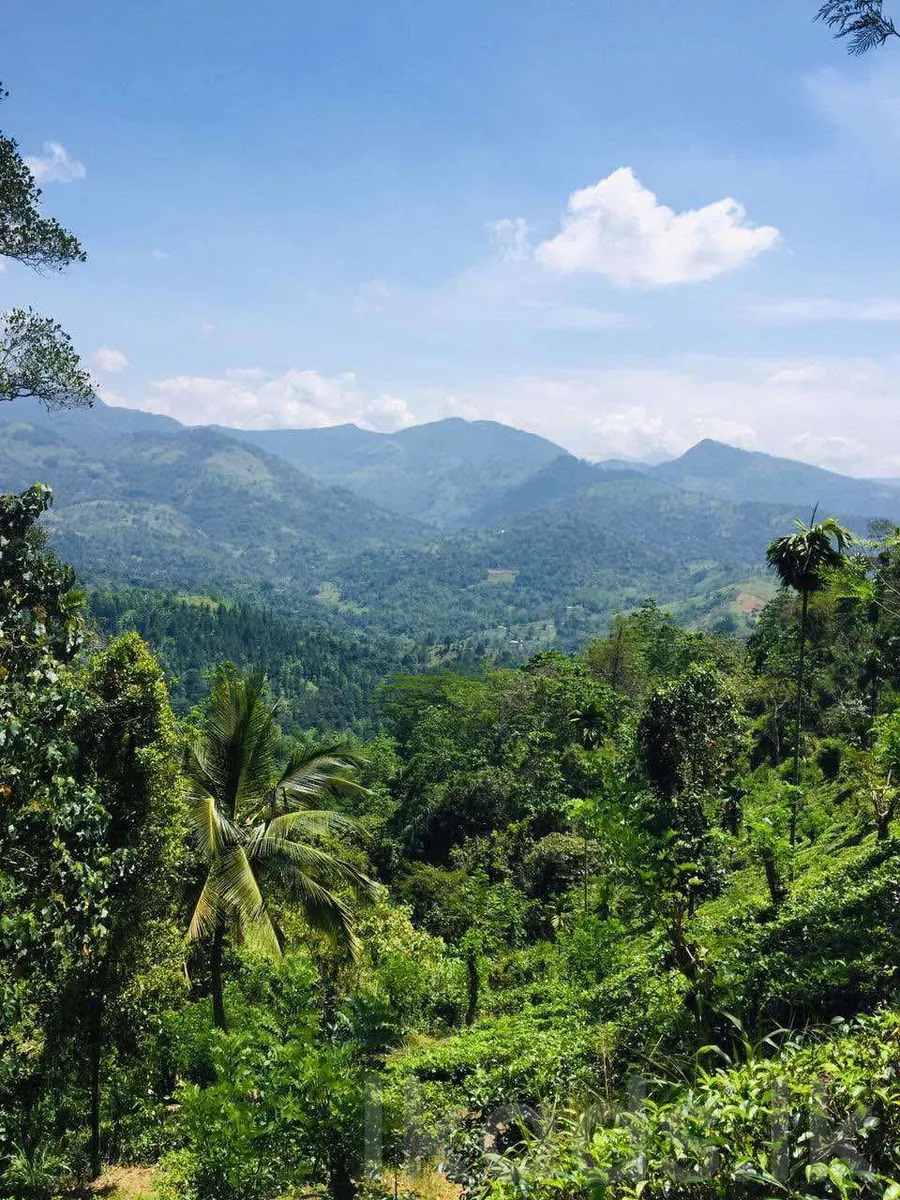 මහනුවර – වත්තේගම – පර්32ක ඉඩමක් විකිණීමට – පර් රු. 50,000 photo 2