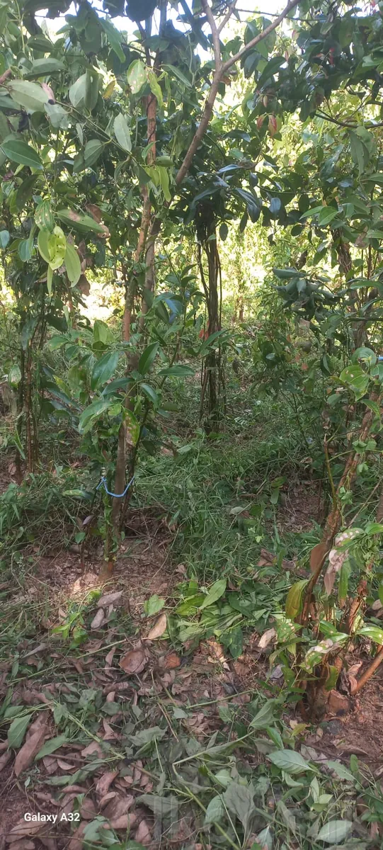 Near Welipanna – Land with New House for Sale photo 2