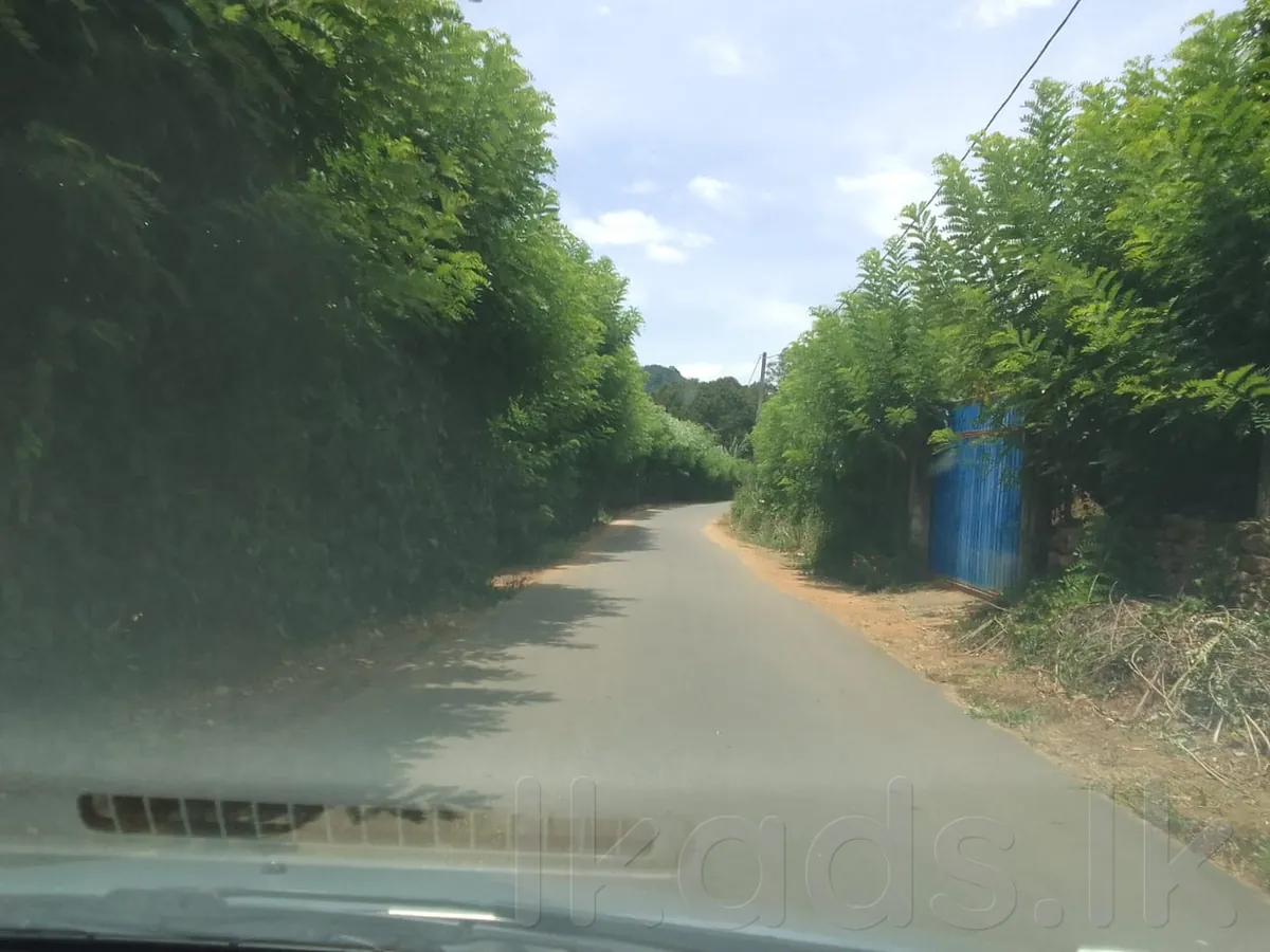 දියලුම ඇල්ලට ආසන්නව අක්කර 24 ඉඩමක් විකිණීමට photo 7