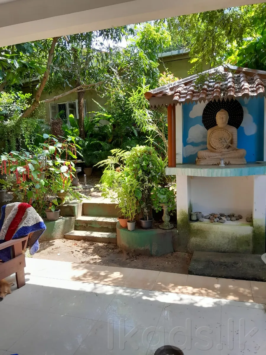Wattala – Hunupitiya – Jayanti Mahal Handiya – 11.80 Perches House for Sale photo 4