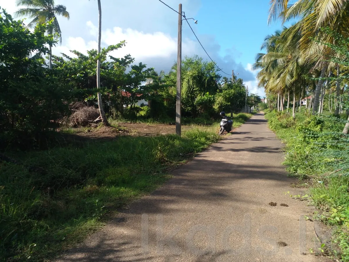 Halawatha – Kurunegala Road – Behind LOLC – 12 Perches Land for Sale photo 2