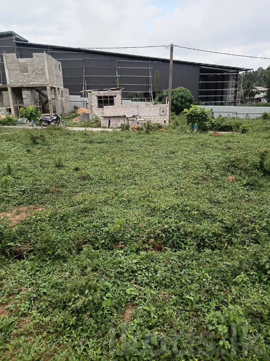 Kadawatha Delgoda Land for Sale – 6 Perches photo 3