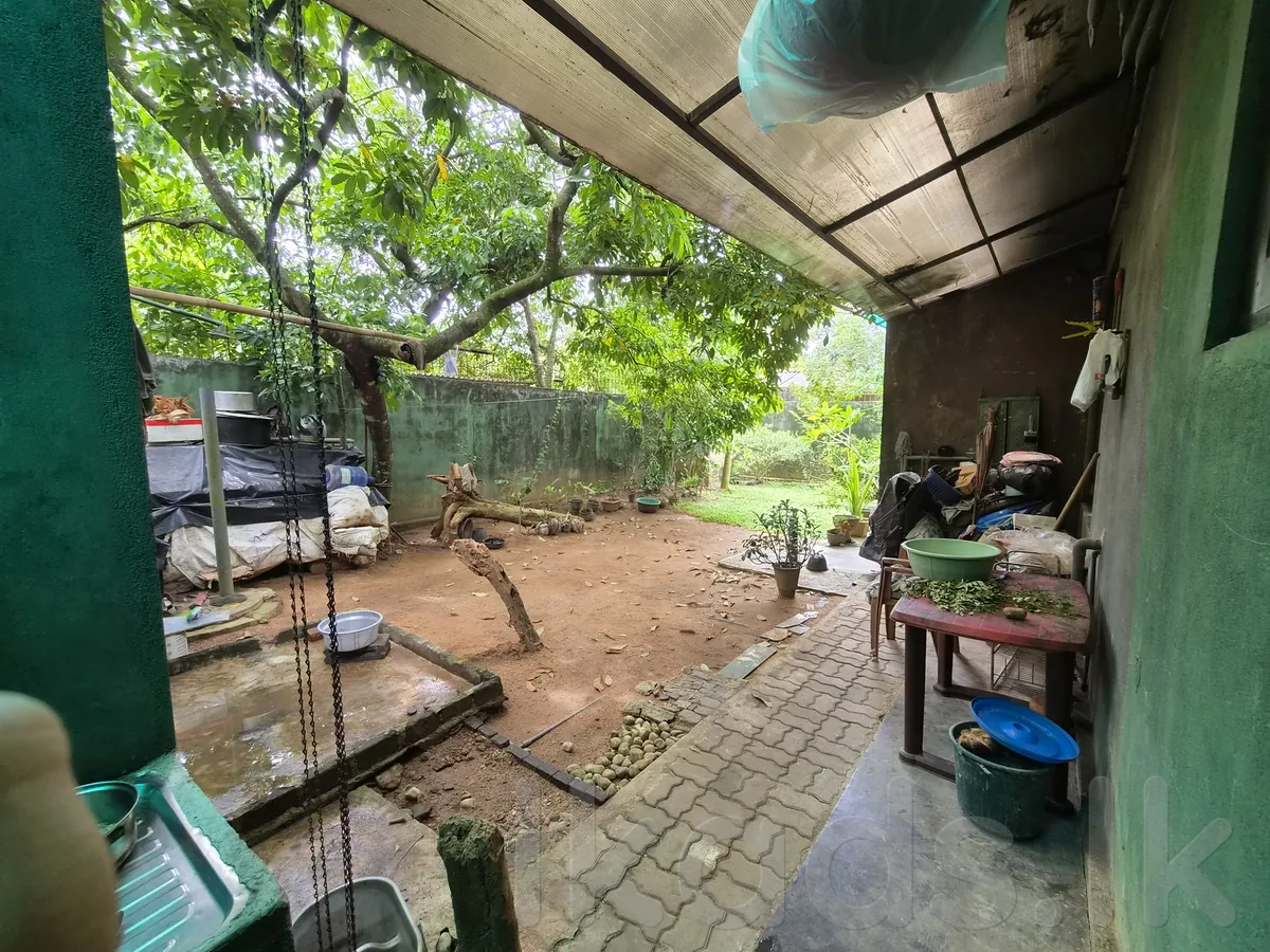 දෙල්ගොඩ නගරයට ආසන්න සුඛෝපභෝගී නිවසක් විකිණීමට ඇත! 🏡 photo 7
