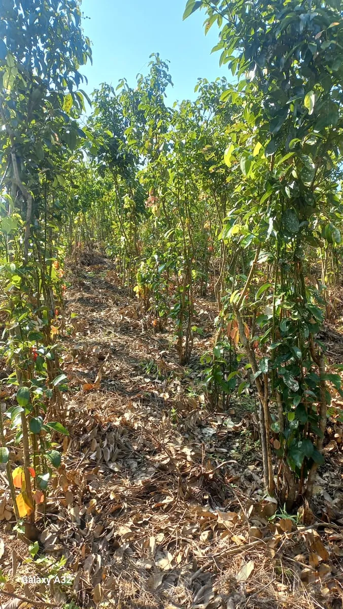 Near Welipanna – Land with New House for Sale photo 7