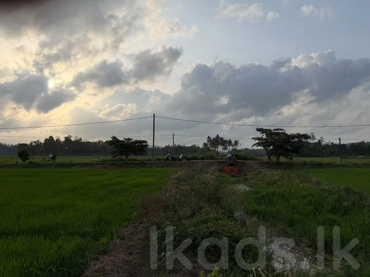 W70 Villa.land – Pinnaduwa – 85 Perches Land for Sale photo 9